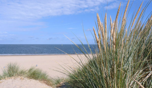 Langner Ferienhäuser Föhr